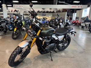 Meilleure Offre Nouvelle Moto d'Aventure Triumph SCRAMBLER 900 2026 - Product Image 1