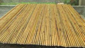 High Quality Cheap Natural <b>Bamboo</b> Poles Garden Supplies <b>Fence</b> <b>Bamboo</b> <b>Fence</b> From 99 Gold Data - Product Image 4