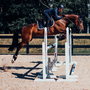 Almohadillas para Silla de Montar con Forro Suave para Entrenamiento y Competición, Diseño Transpirable y Acolchado, Duradero, OEM, Almohadilla para Silla de Montar Inglesa - Product Image 3