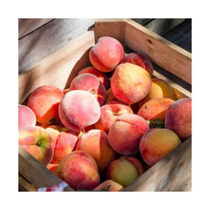 Melocotones orgánicos salvajes superventas, fruta fresca de alta calidad, exportación, fábrica, venta de fruta de hueso jugosa dulce, Francia madura - Product Image 4