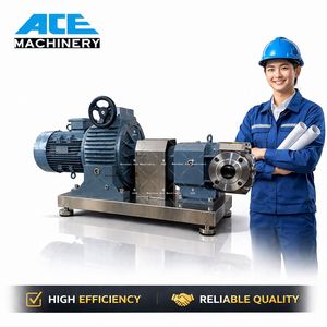 Pompe rotative à lobes pour liquides très visqueux, chocolat, boissons et jus, avec double turbine et armoire électrique en acier inoxydable (SUS) - Product Image 2