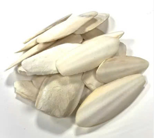 100% hueso de sepia seca natural comida para pájaros de la mejor calidad hecha en Vietnam a precio barato para exportación - Product Image 2