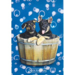 Keith Kimberlin Postcard Featuring 2 <b>Dogs</b> in a Wooden Tub Handcrafted Wood Postcard - Product Image 1