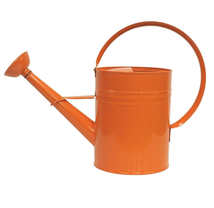 Regadera de metal de buen aspecto, el mejor diseño, regadera de jardín, regadera de metal duradera para colgar, regadera de crecimiento, venta superior - Product Image 5