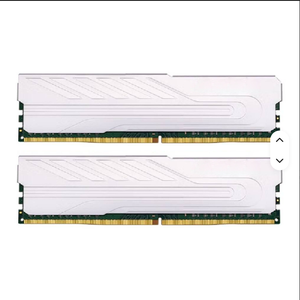 Memoria RAM para PC de Escritorio, Plateada, 16GB DDR5 6000MHz PC4-28800 CL18 1.35V REG ECC, Chip SK Hynix CJR/DJR, Disipador de Calor Metálico - Product Image 1