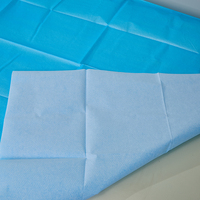 Drap de lit jetable imperméable en papier PE à usage unique pour clinique, spa, table de massage
