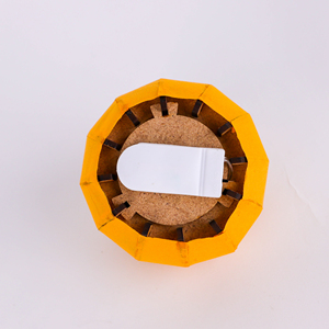 Kit de luz naranja mandarina para interiores, lámpara bonita de diseño único para niños y padres - Product Image 3