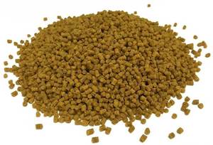 Meilleur aliment de poisson Tilapia Premium pour la vente en gros - Product Image 2