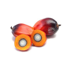 Huile de palme Vente en gros Haut fabricant nouveau Meilleur matériel Avec des tarifs bon marché - Product Image 2