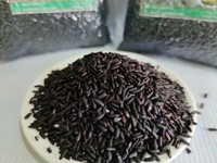 Sac de riz brun noir de qualité supérieure de 22 onces de grains entiers de qualité d'exportation sans gluten du Vietnam