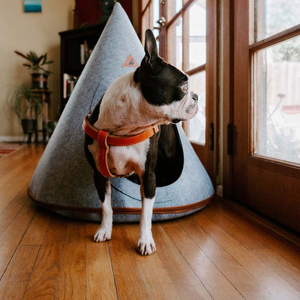 สายจูงสุนัขแบบไม่ดึงกันน้ำได้สายจูงสุนัขพร้อมริบบิ้นตกแต่งสายฝึกยาวสำหรับสัตว์เลี้ยง - Product Image 2