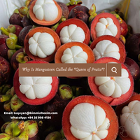 Premium LQF Diepvries Mangosteen Vietnam Hele Vruchten Zoete Smaak Vacuüm Verpakt Groothandel Leverancier KMI Merk 24 Maanden Houdbaarheid