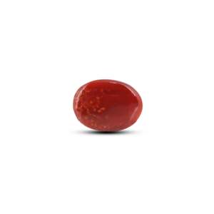 Coral rouge japonais 9,55 carats, pierre précieuse naturelle de cornaline de coupe ovale avec certificat IGI, polie pour accessoires de bijouterie - Product Image 2