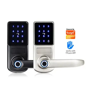 Tuya WIFI App High Security waterproof smart Lock Biometric Fingerprint & card Smart Door Lock Phone black Basic Cloud