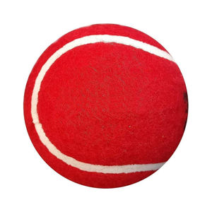 Bolsa de Malla para Pelotas de Tenis de Práctica, Diseño de Doble Color, Alta Calidad, para Deportes al Aire Libre, Personalizable al por Mayor - Product Image 2