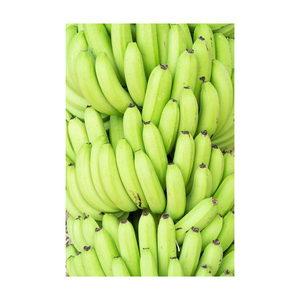 Meilleure vente en gros de société d'exportation de bananes fraîches cavendish aux meilleurs prix du marché - Product Image 6