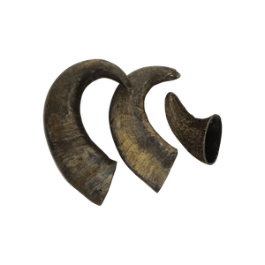 Corne de buffle naturelle conservée en lots volumineux pour la revente en gros - Product Image 6