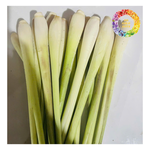 Especias congeladas hierba de limón entero en rodajas picadas, palito de hierba de limón congelado rebanada picada, hierba de limón congelada Premium - Product Image 3