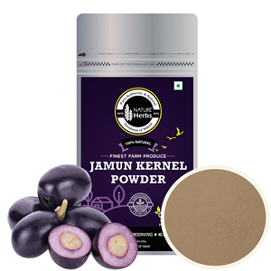 Extrait de plantes du fournisseur indien de poudre de Jamun séchée par atomisation biologique de qualité alimentaire en boîte emballée 100% prix d'approvisionnement en gros naturel - Product Image 2