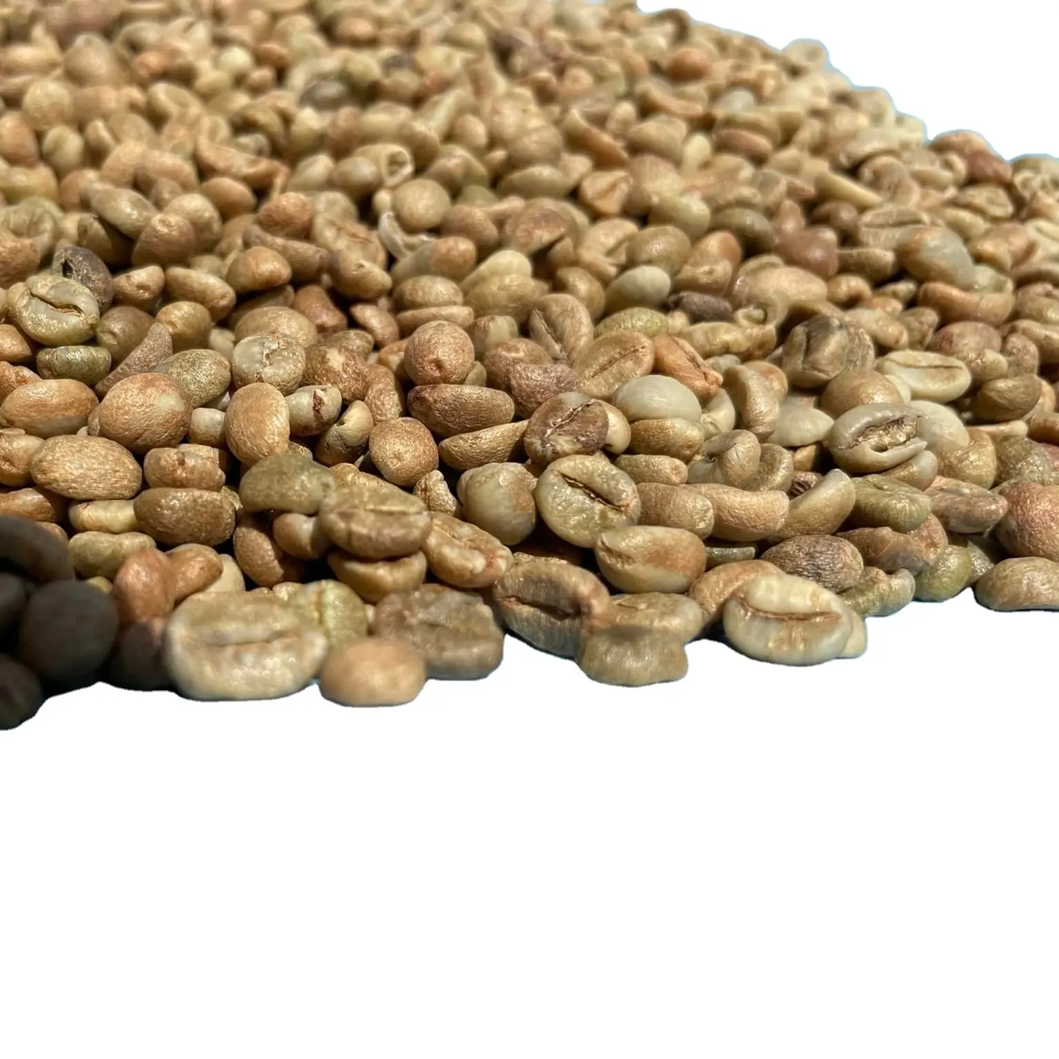 Groene Arabica/Robusta Koffieboon Voor Koffiebrander/Groothandel. Whatsapp 84 976727907 Ms Carolina