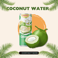 Groothandel 100% Puur Kokoswater Origineel Private Label Fruit-En Groentesap