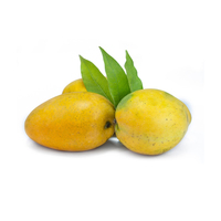 Saveur sucrée Mangue Badami Meilleure vente Mangue fraîche disponible à un prix abordable en provenance d'Inde