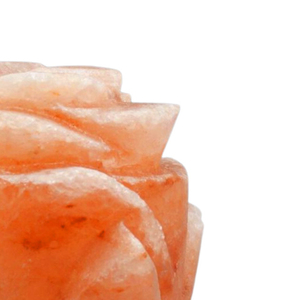 Artesanías naturales Coloridas Múltiples formas Mesa Lámparas de sal USB Lámpara de sal del Himalaya natural con cargador USB Base de madera Sal - Product Image 5