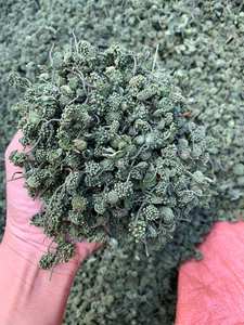 ดอกโสมแห้งคุณภาพสูงสำหรับชาสมุนไพรออร์แกนิกผลิตภัณฑ์เสริมสุขภาพการดูแลผิวตามธรรมชาติและการผ่อนคลาย - Product Image 6