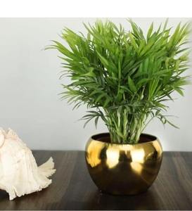 Nouvelle taille personnalisée couleur personnalisée intérieur salon métal décoratif support de fleurs pot de fleurs de luxe Pot de fleur de luxe - Product Image 3