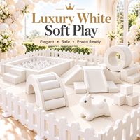Équipement de jeu modulaire personnalisé de qualité supérieure pour tout-petits, ensemble de jeux avec piscine à balles, toboggan, structure d'escalade, aire de jeux intérieure, fournisseur OEM