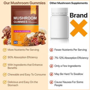 Gomitas Funcionales de Hongos con Marca Privada, con Melena de León, Reishi y Cordyceps para la Concentración, Energía y Apoyo Inmunológico - Product Image 5