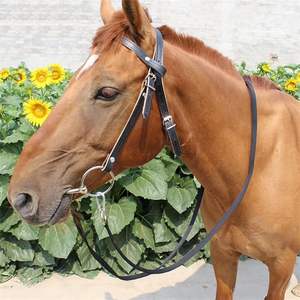 Brida de cuero para caballo, banda de cejas occidental ajustable, bridas para caballos con brocas y riendas desmontables - Product Image 3