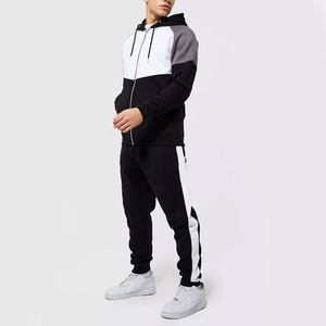 Conjunto Deportivo de Moda 2026 con Bloques de Color en Contraste, Sudadera con Capucha y Cremallera Completa de Felpa Técnica, Conjunto Urbano Informal para Correr, Corte Regular - Product Image 1