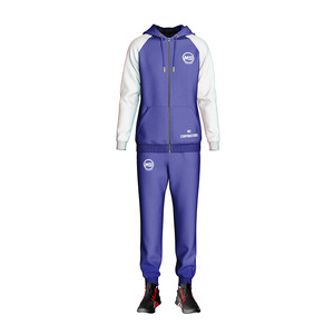 2025 nouveauté personnalisé formation Jogging confortable fermeture éclair sweats à capuche costumes deux pièces ensemble survêtements pour hommes - Product Image 1
