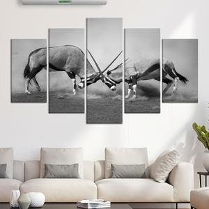 Impresión en lienzo monocromática de vida silvestre africana: obra de arte de la batalla de antílopes orix, JUEGO DE 5 LIEÑOSSOS CUADROS COMBINADOS - Product Image 1
