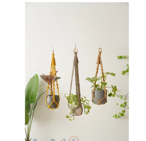 Customized Macrame Plant Hanger for <b>Wall</b> and Window Decoration - Product Image 1
