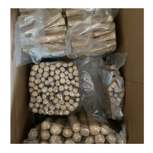 Hueso para masticar madera de café Natural para perros, juguete para masticar mascotas ecológico de larga duración, solución Dental para perros de Vietnam - Product Image 2