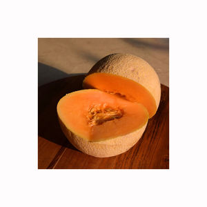 Melon musqué de haute qualité, fruit mûr, parfumé et sucré, produits frais, vente en gros, exportateur, commerce direct de la ferme - Product Image 5