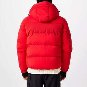 Logo personnalisé OEM ODM Veste matelassée coupe-vent d'extérieur pour l'hiver pour hommes Vestes solides à capuche Nouveau design pour les hommes - Product Image 4