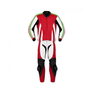 Vente en gros Vêtements de sport de moto en cuir de vachette une pièce Costume blindé pour homme jeune GP Plus - Product Image 6