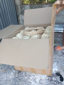 El exportador mayorista de Vietnam ofrece una bola de ratán hecha a mano, artesanías decorativas, Bola de ratán para pedidos a granel a un precio competitivo - Product Image 5