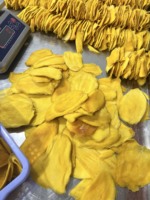 Beste Prijs Groothandel Hoge Kwaliteit Gedroogde Mango Biologisch Gekonfijt Fruit Gedehydrateerde Mango