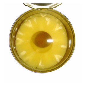 Fruits en conserve d'ananas en vrac avec sirop, fruits en conserve d'ananas avec morceau/tranché/forme d'éventail prêt à exporter du Vietnam - Product Image 1