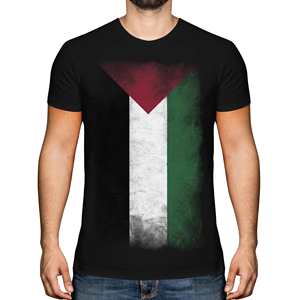Camiseta pesada GSM de alta calidad para hombre, Camiseta 100% de algodón transpirable con estampado de bandera palestina, diseño de bandera desvanecida - Product Image 2