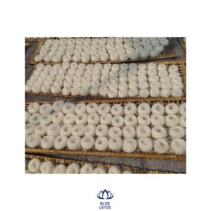 ส่งออกจากเวียดนามสำหรับทำอาหารที่มีเส้นก๋วยเตี๋ยวสีขาวขนาด1มม. 4มม. 5มม. - Product Image 1