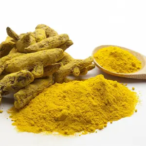 Natural Yellow Pigment Turmeric Powder Turmeric Root Extract Curcumin 95% Powder