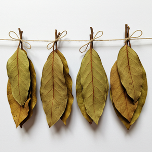 Lá Mãng cầu sấy khô, một sự lựa chọn hoàn hảo cho những người yêu trà tự nhiên - Product Image 1