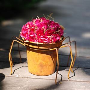 Supporto per Piante a Ragno in Metallo Rustico con Vaso, Portavaso Vintage in Ferro, Decorazione da <span class=keywords><strong>Giardino</strong></span> per Interni ed Esterni - Product Image 1