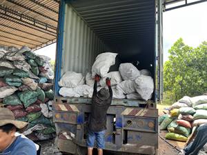 Carbón Vegetal de Khaya y Carbón Vegetal de Café de Calidad Hecho en Vietnam - Product Image 5