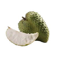 Premium Vietnamese verse zuurzak - Betrouwbare leverancier voor groothandel